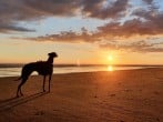 Beach at sunset